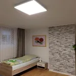 Albi Haus Apartament