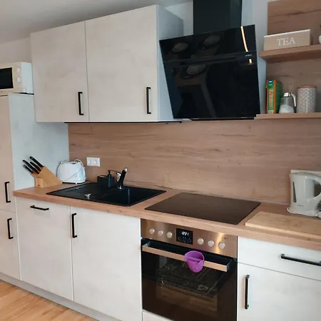 Apartment Albi Haus *