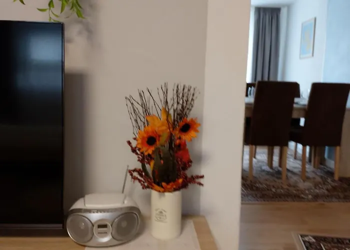 Albi Haus Apartment *