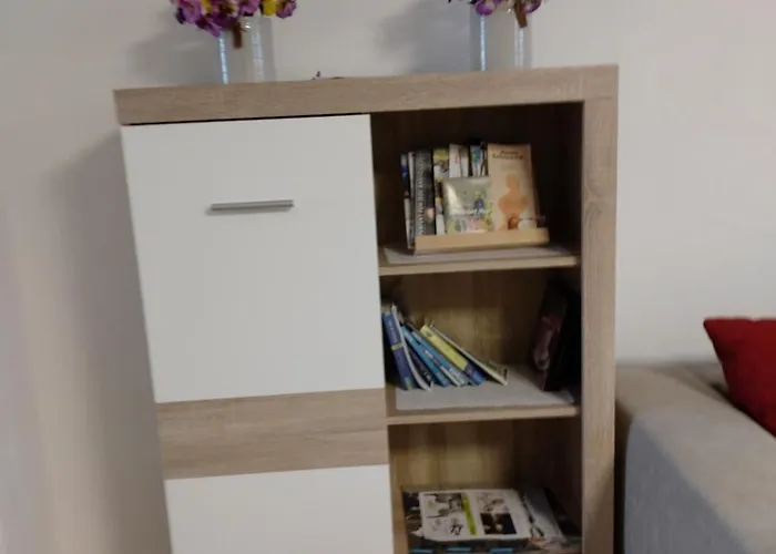 Apartment Albi Haus *