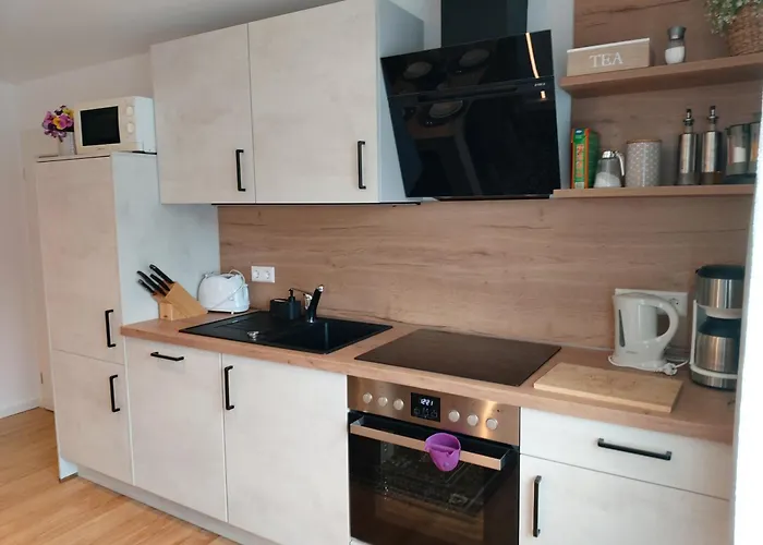 Apartment Albi Haus *